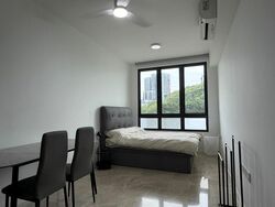 Irwell Hill Residences (D9), Apartment #521273601